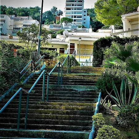 Apartment Salions