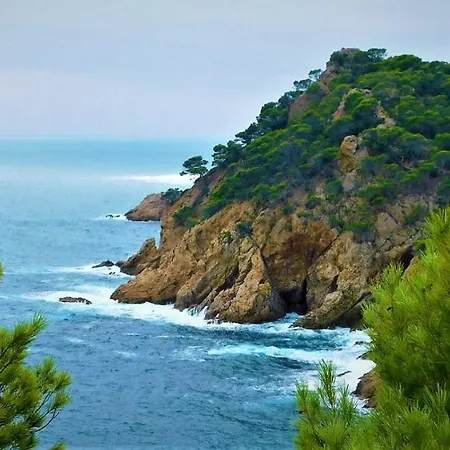 Salions Apartment Tossa de Mar